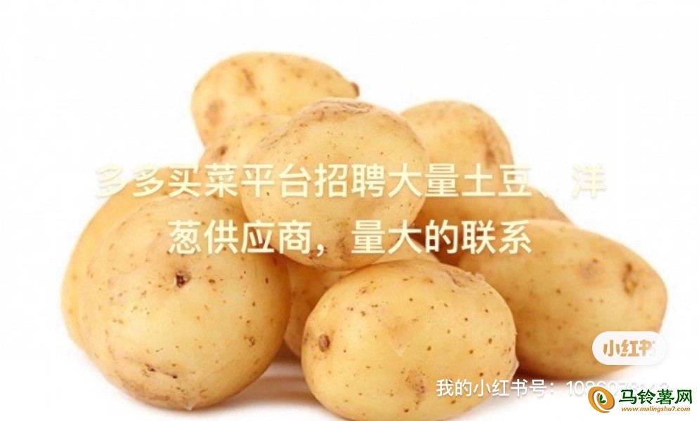 多多買菜招聘土豆、洋蔥供應商、能持續供應的聯系 ()